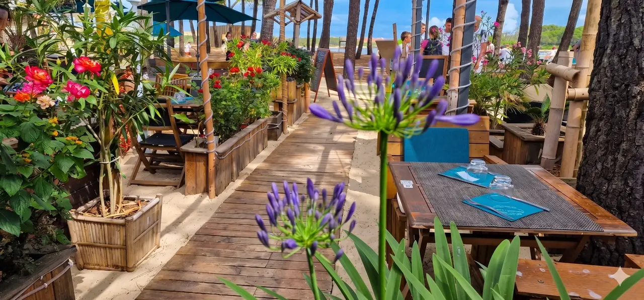 La terrasse fleurie du restaurant sous les pins, avec le lac en arrière-plan